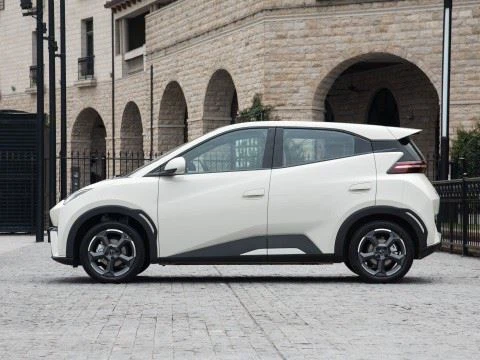 Smart Car BYD - Seagull