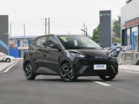 Smart Car BYD - Seagull