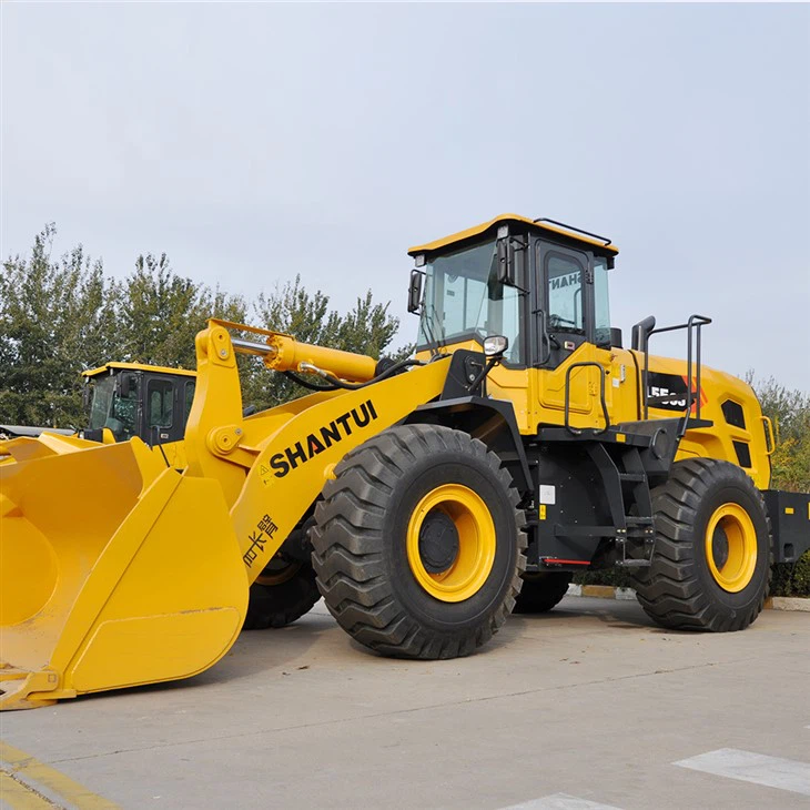 シャントゥイローダーL55-C5